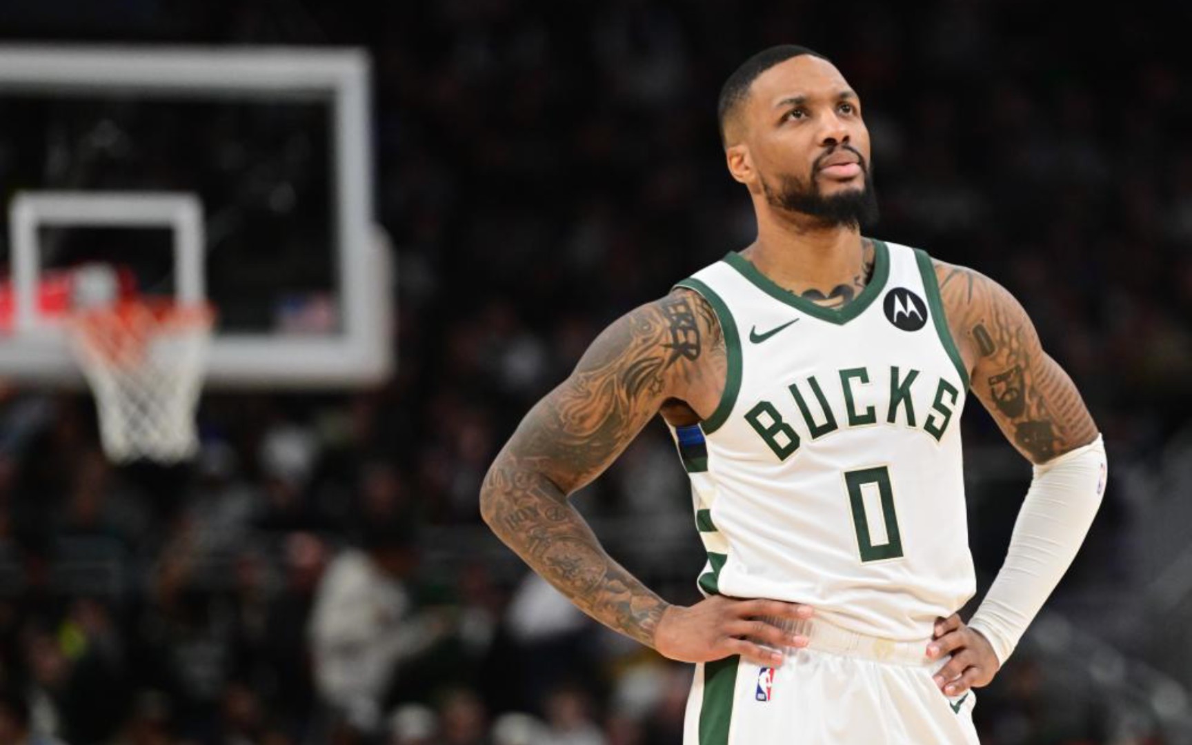 家队的表现 家队的表现