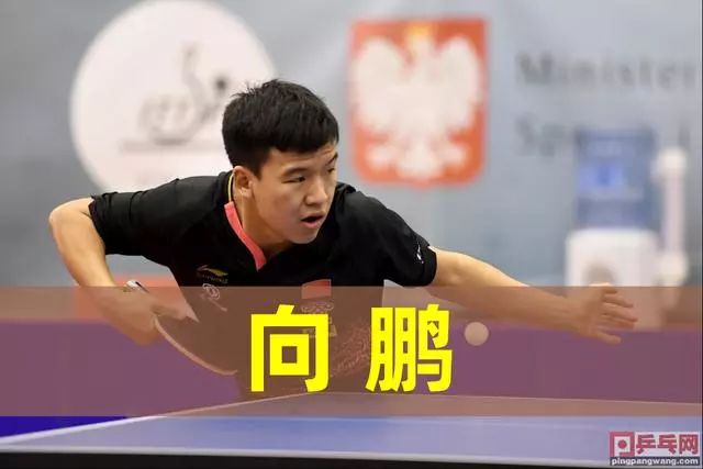 手的精彩表 手的精彩表