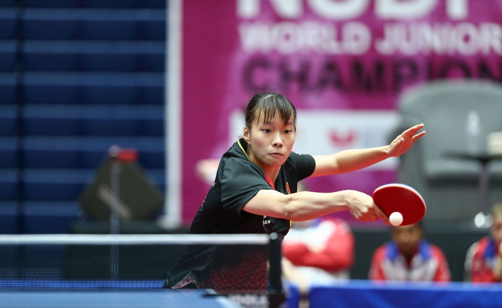 一位侧翼新 一位侧翼新