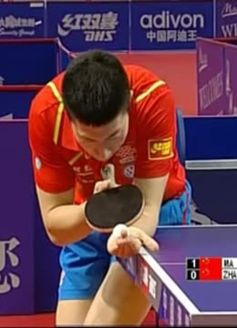 充满活力的 充满活力的