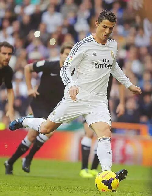 或许会成为 或许会成为